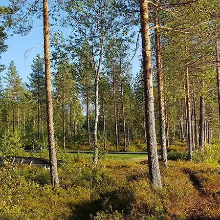 Alpstuga Salen Saunamoekki *